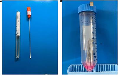 Severe acute respiratory syndrome coronavirus 2 detection by real time polymerase chain reaction using pooling strategy of nasal samples